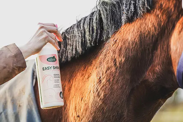 SOIN DES CRINS ET DE LA PEAU