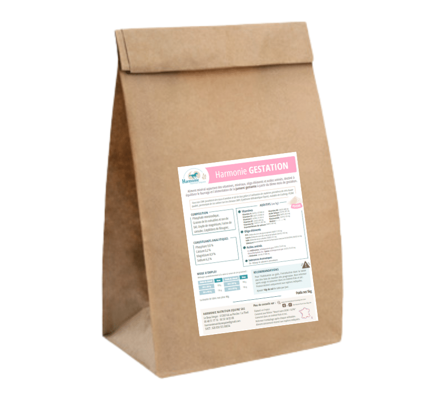 CMV Harmonie Gestation