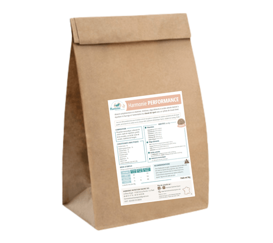 CMV Harmonie Performance