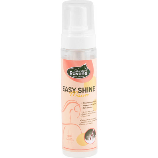 EASY SHINE MOUSS détachant robe